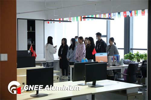 Aluminium Foils Jumbo Silver Color